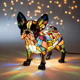 Boston Terrier élégant