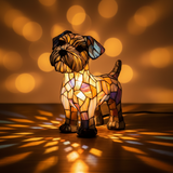 Terrier lumineux