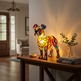 Boxer lumineux