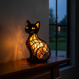 Chat lumineux de minuit