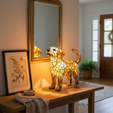 Labrador lumineux