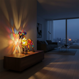 Boxer lumineux