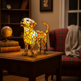Labrador lumineux