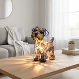 Terrier lumineux