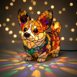 Corgi lumineux