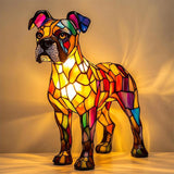 Boxer lumineux