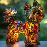 Yorkshire Terrier lumineux